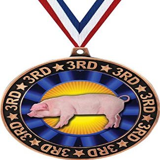 Blue Hog 3rd Place Perimeter Medal Bronze, 2.75" Hog Rosette Prizes, Kids Animal Trophy Medal Awards 10 Pack Prime