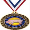 Blue Hog Gold Duo Medal, 3" Hog Rosette Prizes, Kids Animal Trophy Medal Awards 10 Pack Prime view 1