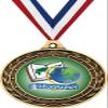 Geography Gold Duo Medal, 3" Kids Education Prizes, Kids Academic Trophy Medal Awards 10 Pack Prime view 1
