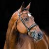 HORZE Clermont Ergonomic Padded Genuine Leather Snaffle Bridle for Horses | Flash Noseband Included - Black - Horse view 3