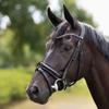 HORZE Clermont Ergonomic Padded Genuine Leather Snaffle Bridle for Horses | Flash Noseband Included - Black - Horse view 4