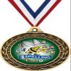 Spelling Gold Duo Medal, 3" Kids Spelling Bee Prizes, Kids Spelling Trophy Medal Awards 100 Pack view 1
