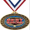 Best in Show Gold Duo Medal, 3" Best in Show Prizes, Kids Best in Show Trophy Medal Awards 50 Pack Prime view 1