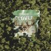 Whitetail Institute Imperial Clover Deer Food Plot Seed for Spring or Fall Planting, Promotes Antler Growth and Attracts Deer, Heat, Cold and Drought Tolerant, 2 lbs (.25 Acres), White view 4