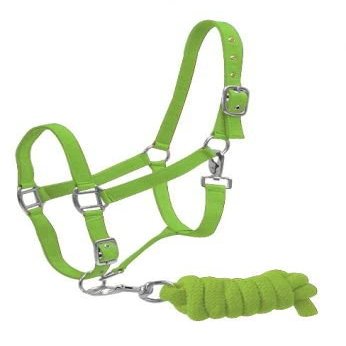 Adjustable Nylon Halter w/ 7' Lead (Lime)