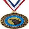 Angus Steer Gold Duo Medal, 3" Angus Cattle Prizes, Kids Animal Trophy Medal Awards 50 Pack view 1