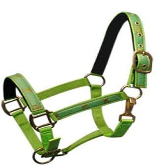 Adjustable Cob Size Neoprene Lined Nylon Halter w/Running Horse Overlay (Lime)