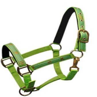 Adjustable Cob Size Neoprene Lined Nylon Halter w/Running Horse Overlay (Lime)