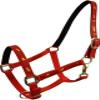 Adjustable Neoprene Lined Nylon Halter w/Running Horse Overlay (Red) view 1