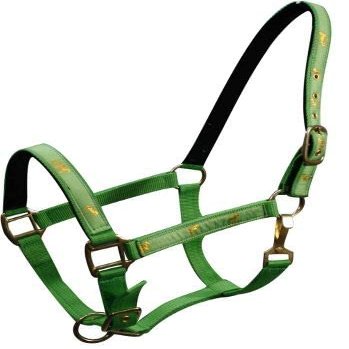 Adjustable Neoprene Lined Nylon Halter w/Running Horse Overlay (Lime)