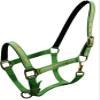 Adjustable Neoprene Lined Nylon Halter w/Running Horse Overlay (Lime) view 1