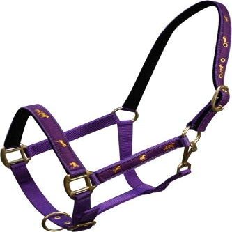 Adjustable Neoprene Lined Nylon Halter w/Running Horse Overlay (Purple)