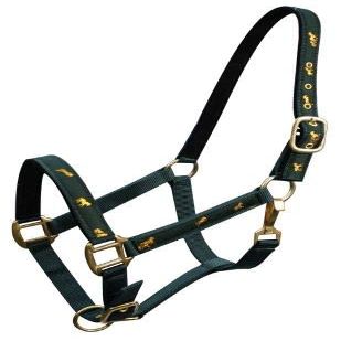 Adjustable Neoprene Lined Nylon Halter w/Running Horse Overlay (Green)