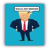 Zirni Walls Not Bridges Donald Trump Sticker Art Decal view 1