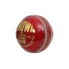 CW Crown Official Leather Ball Professional Cricket Balls Pack of 12 for Men view 3