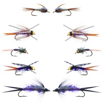The Fly Fishing Place Basics Collection - Bead Head Purple Nymph Assortment - 10 Wet Flies - 5 Patterns - Hook Sizes 12, 14, 16