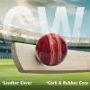 CW Garrison Hard Ball 4 Piece Ball X 156g Senior Cricket Ball Weight 5.5oz Pack of4 view 4