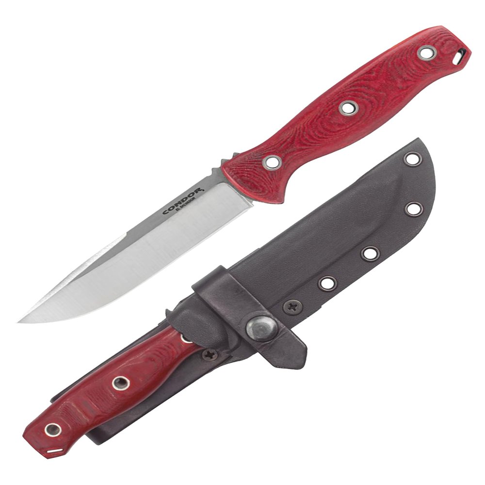 Condor Bushcraft Bliss Knife - 1075 High Carbon Steel - Walnut Handle - Small Fixed Blade Knife with Kydex Leather Loop Sheath - 3mm Thick - 4.8in Blade - 9.8oz