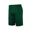 Holloway PR Max Compression Shorts Dark Green 2XL view 1