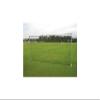 8x24 Flat Faced Training Net view 4