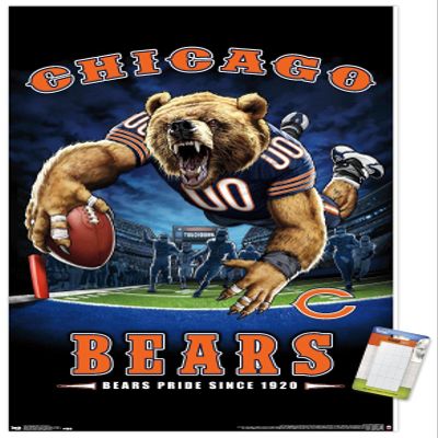 Trends International NFL Chicago Bears - End Zone 17 Wall Poster, 22.375" x 34", Premium Poster & Mount Bundle