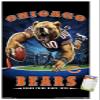 Trends International NFL Chicago Bears - End Zone 17 Wall Poster, 22.375" x 34", Premium Poster & Mount Bundle view 1