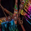 Showman Feather, Sunflower & Cactus Headstall & Breast Collar Set w/Metallic Rainbow Fringe view 3