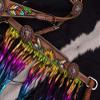 Showman Feather, Sunflower & Cactus Headstall & Breast Collar Set w/Metallic Rainbow Fringe view 4