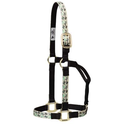 Weaver Leather Non-Adjustable Patterned Nylon Horse Halter, Cactus, Small