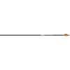 Easton Axis SPT Shafts 300 1 doz. view 1