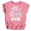 Arrow Big Sister Again Sibling Announcement Shirts for Baby and Toddler Girls Sibling Outfits Mauve Shirt view 1