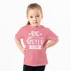 Arrow Big Sister Again Sibling Announcement Shirts for Baby and Toddler Girls Sibling Outfits Mauve Shirt view 2