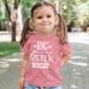 Arrow Big Sister Again Sibling Announcement Shirts for Baby and Toddler Girls Sibling Outfits Mauve Shirt view 3