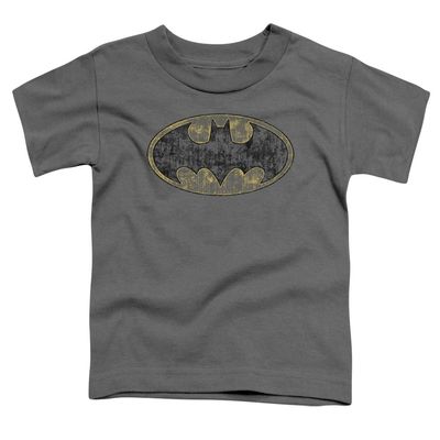 Batman Tattered Logo Unisex Toddler T Shirt for Boys and Girls, Medium (3T) Charcoal