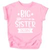 Arrow Big Sister Again Sibling Announcement Shirts for Baby and Toddler Girls Sibling Outfits Pink Shirt view 1
