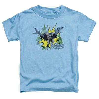 Batman City Splash Unisex Toddler T Shirt for Boys and Girls, Medium (3T) Carolina Blue