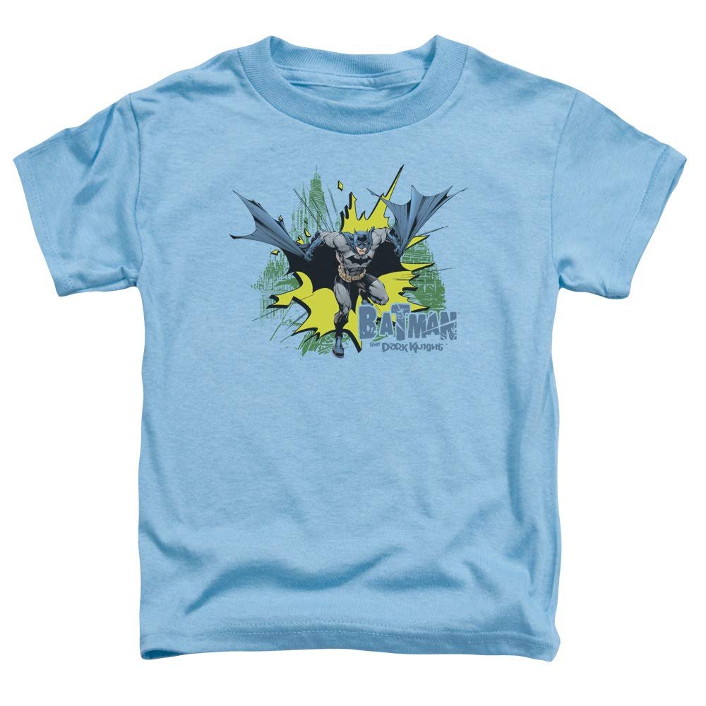 Batman City Splash Unisex Toddler T Shirt for Boys and Girls, Medium (3T) Carolina Blue
