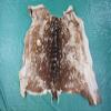 Second Grade Axis Deer Skin Hide Size: 29" X 33" in Deer Skin Axis-532 view 4