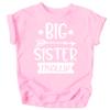 Olive Loves Apple Big Sister Finally Sibling Announcement Shirts for Baby and Toddler Girls Sibling Outfits Pink Shirt view 1