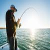 PENN Clash II Spinning Fishing Reel,Grey/Black view 4