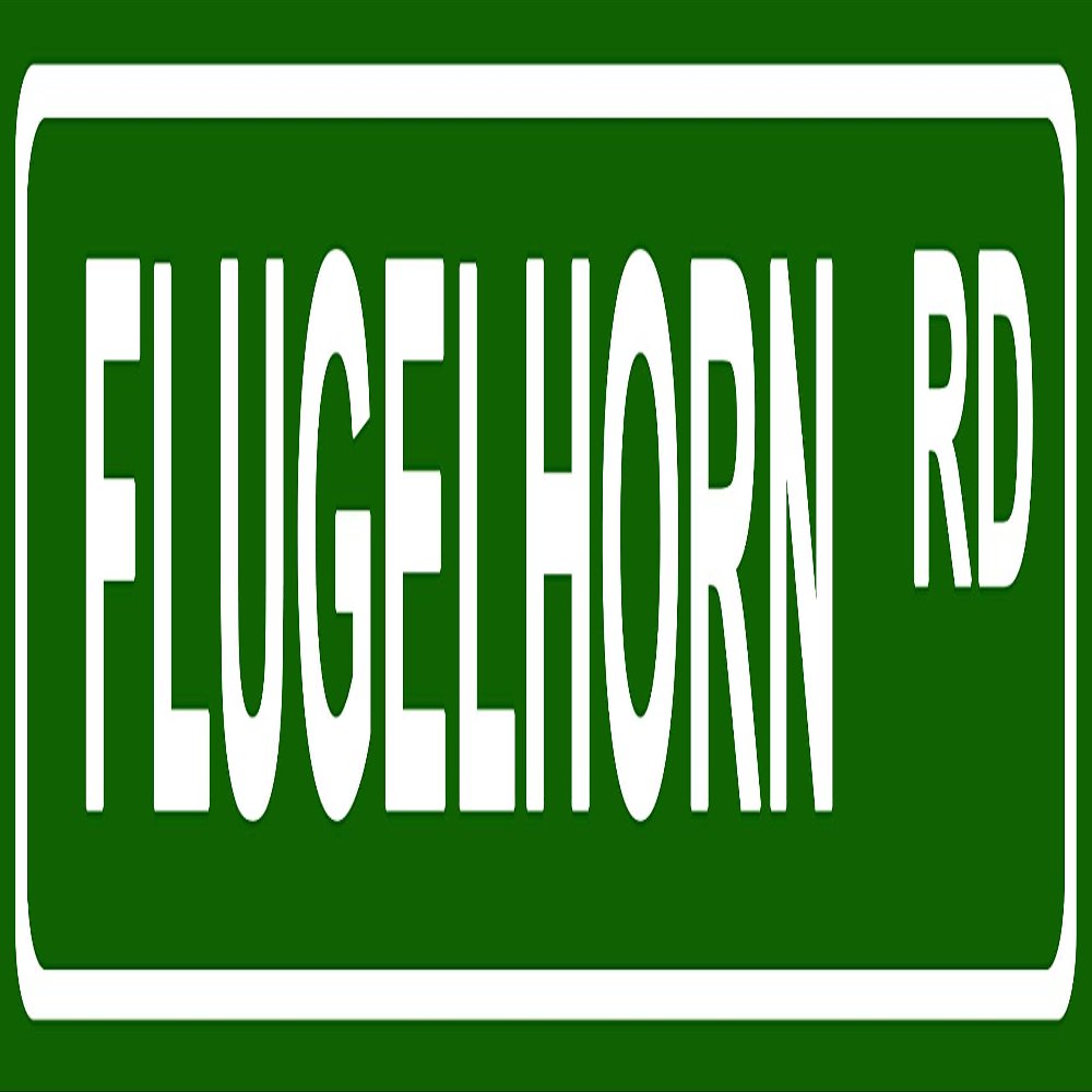 Makoroni - Flugelhorn Music Instrument Aluminum Metal 4x18 inc. Decorative Street and Room Sign