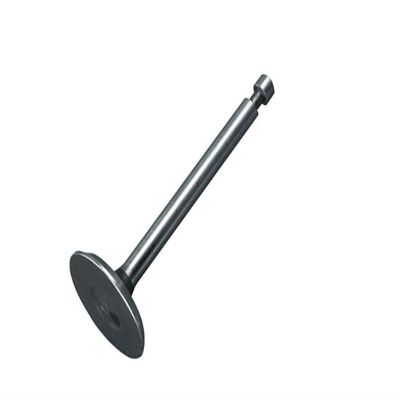 3G Intake Valve for EZGO Gas Golf Carts 1991+
