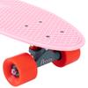 Penny Australia, 27 Inch Cactus Wanderlust Board, The Original Plastic Skateboard view 2