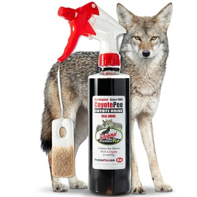 PredatorPee 100% Coyote Urine with 10 ScentTags, Territorial Marking Scent Kit, Creates Predator Presence Illusion for Deer Raccoons Groundhogs Rats, Outdoor Yard Garden Perimeter Setup, 16 Oz