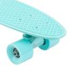Penny Australia, 22 Inch Mint Penny Board, The Original Plastic Skateboard view 2