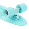 Penny Australia, 22 Inch Mint Penny Board, The Original Plastic Skateboard view 3