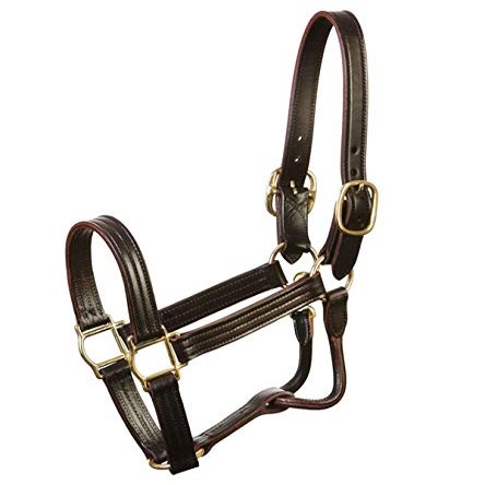 Jacks 9700-H Kentucky Leather Halter - Horse