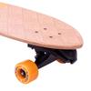 Z-Flex Banana Train Surfskate Fish Longboard, Adults Unisex, Orange (Orange), 31 in view 3