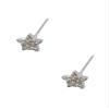 (26911-100) Topwholesalejewel Fashion Earrings Silver Plating Cubic Zirconia Stud Earrings view 1