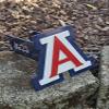 Wildcats Custom Hitch Cover view 3